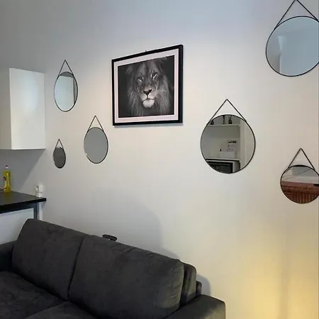 Le Nid Troyens Apartment Troyes Exterior photo
